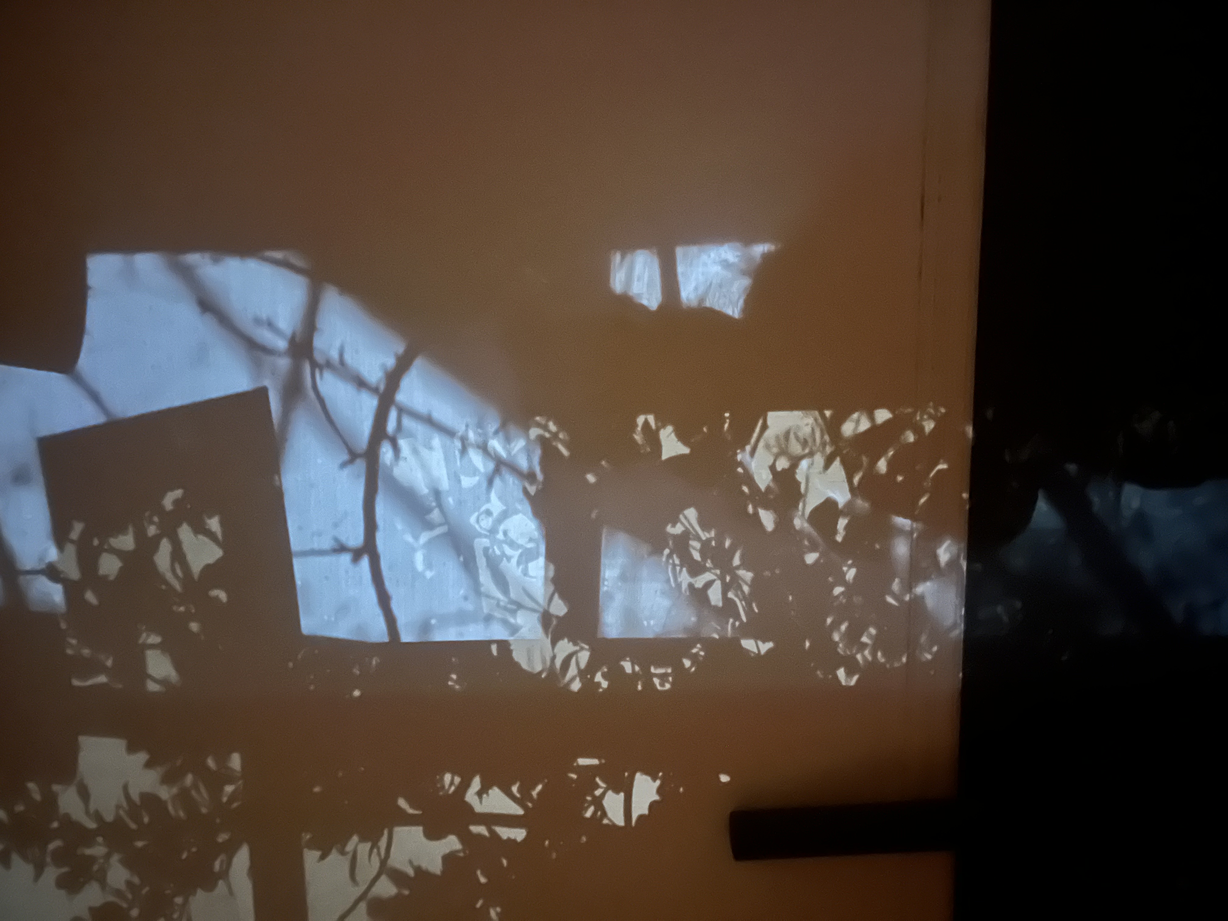 Reflection and shadow image 1